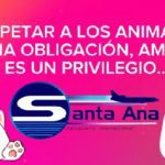 Lee más sobre el artículo Respetar a los animales es una obligación, amarlos es un privilegio…