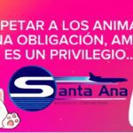 Lee más sobre el artículo Respetar a los animales es una obligación, amarlos es un privilegio