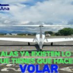 Lee más sobre el artículo TUS ALAS YA EXITEN, LO UNICO QUE TIENES QUE HACER .. ES VOLAR