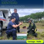 Lee más sobre el artículo RESCATE 9 CACHORROS CON SU MADRE CANINA EN COMPAÑIA DE LA POLICIA